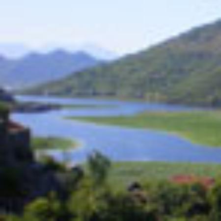 Marrakech Moroccan Restaurant